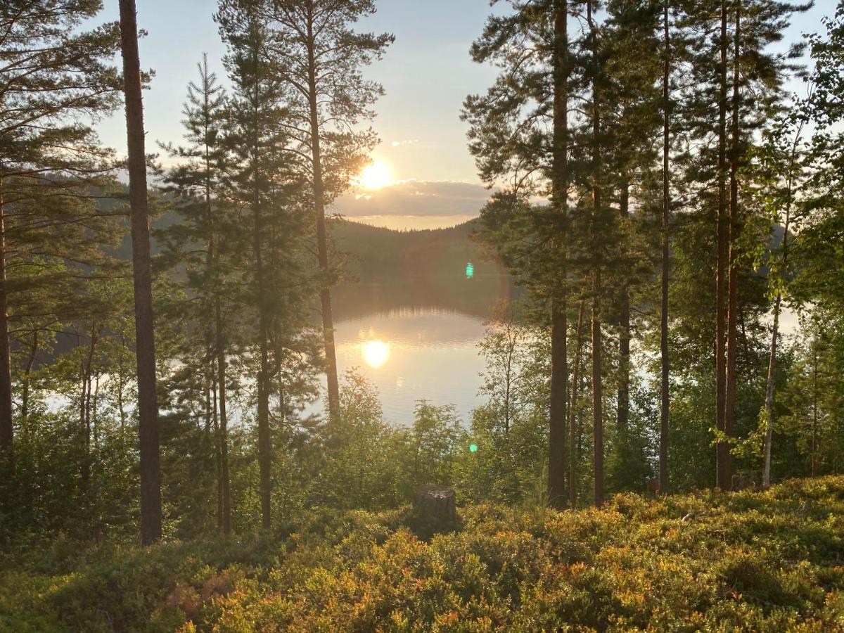 Koli Caravan Cottages Eksteriør bilde
